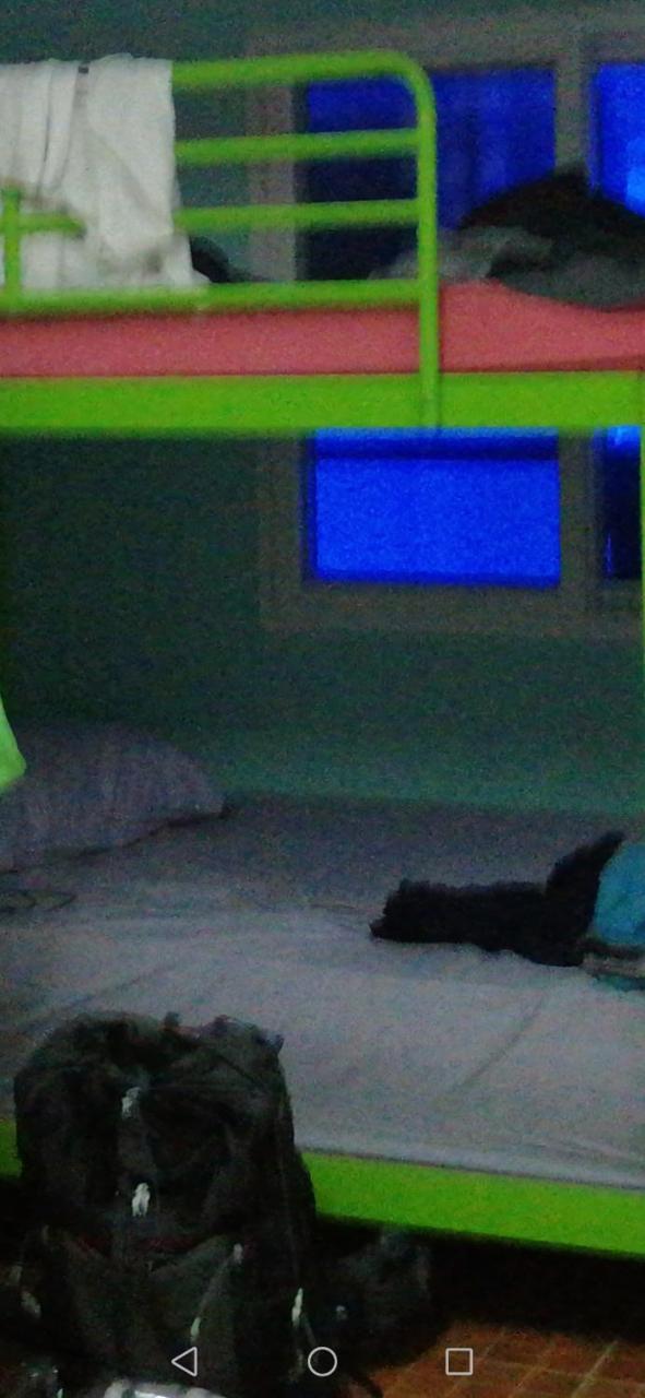 Neverland Dorm ピピ島 エクステリア 写真